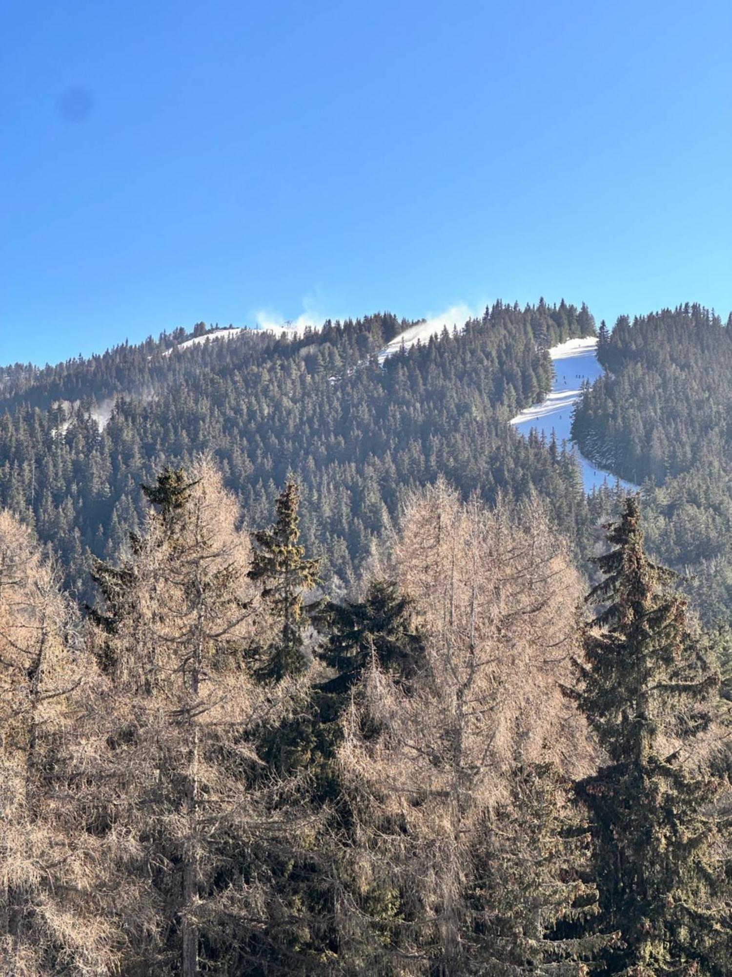 Pm Services Semiramida Apartments Borovets Esterno foto